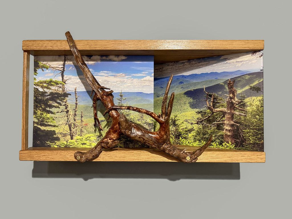 Slide Mountain – 2024, photos, found and reused wood, 10 x 18 x 8 inches